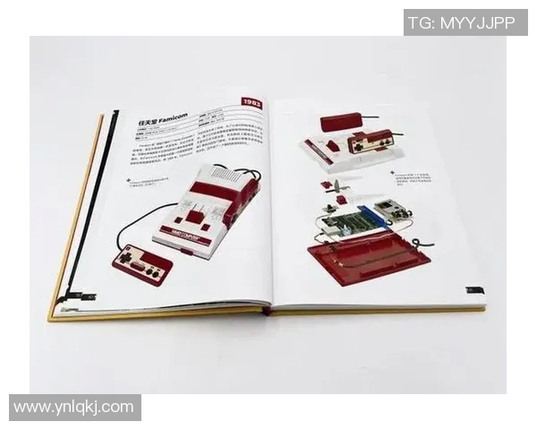 重庆排球队进攻革新之路探秘与战术创新的深度分析 重庆排球队进攻革新之路探秘与战术创新的深度分析