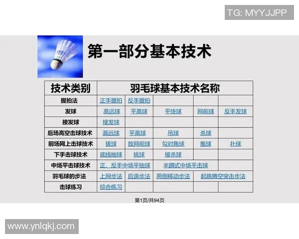 广州羽毛球队的战术解析与控制策略深度剖析