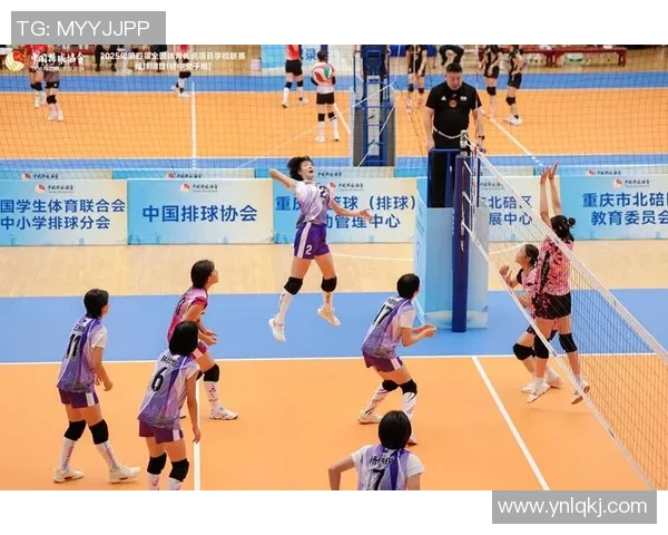 南京排球队的阵地战体系与排球战术的深度解析与应用探讨