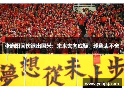 张康阳因伤退出国米：未来去向成疑，球迷表不舍