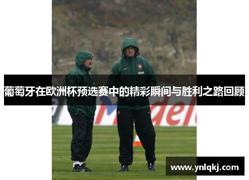 葡萄牙在欧洲杯预选赛中的精彩瞬间与胜利之路回顾