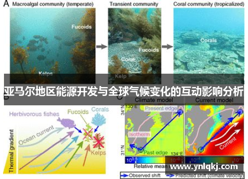 亚马尔地区能源开发与全球气候变化的互动影响分析